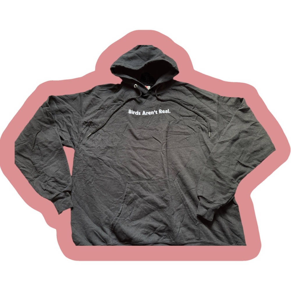 Birds Aren’t Real Hoodie